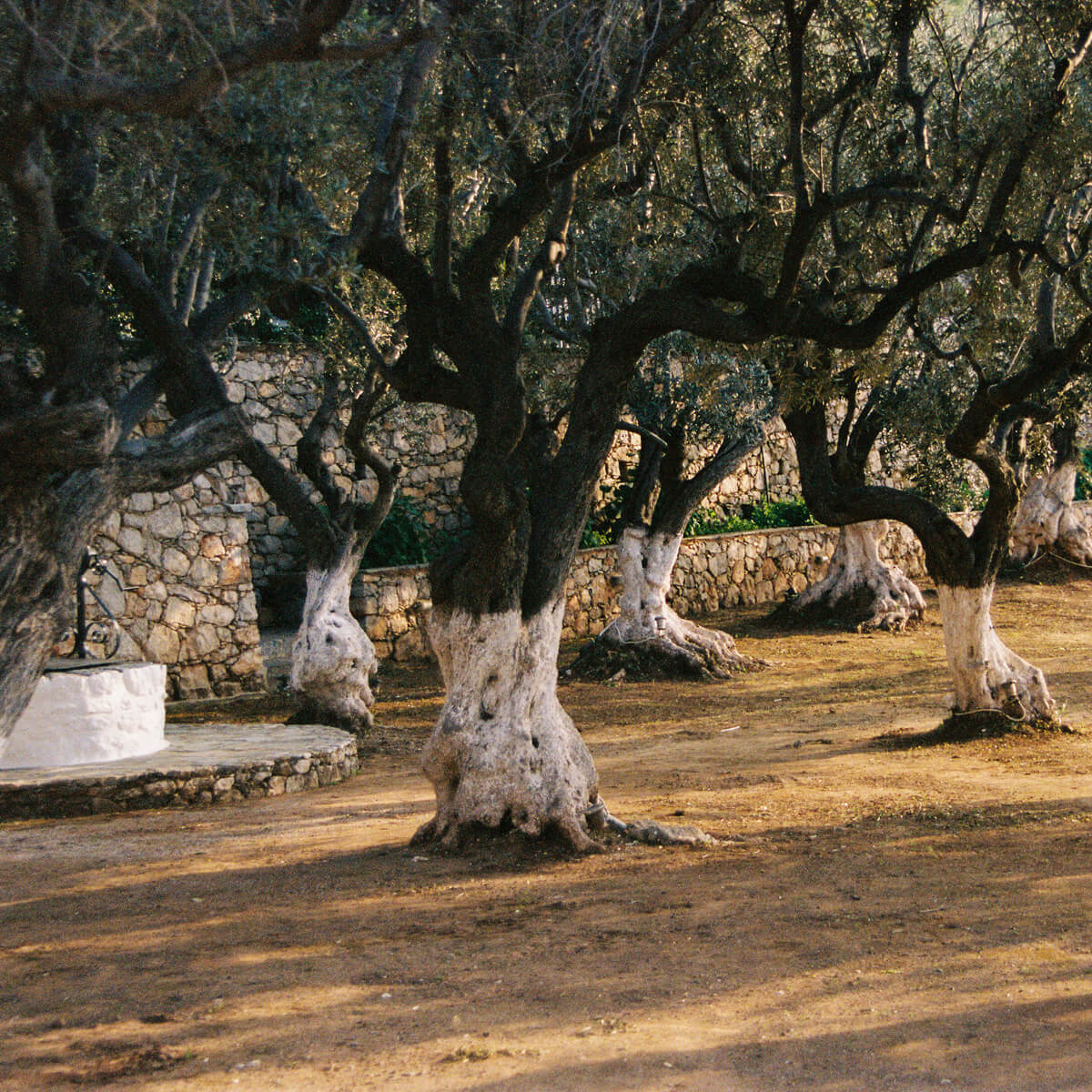 Hydra Art Residency