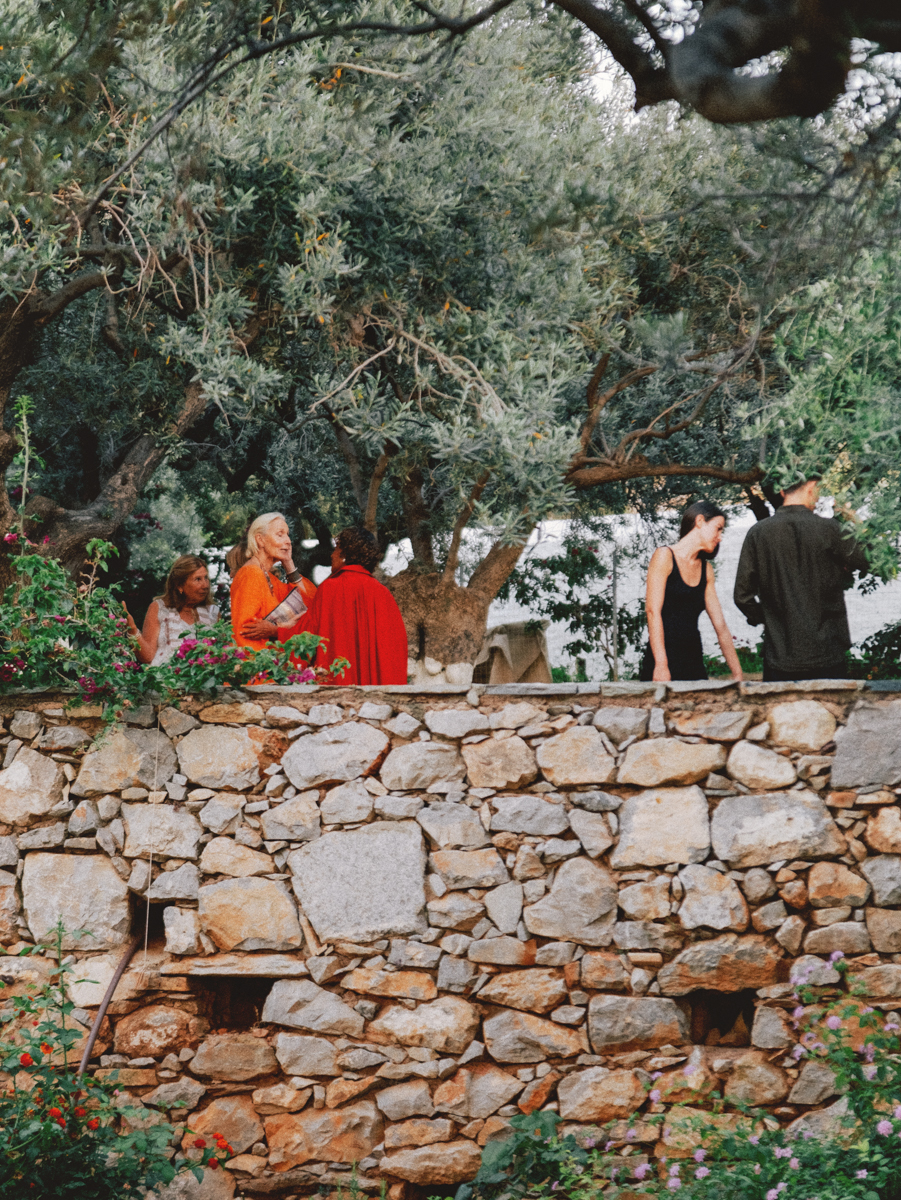 Bellevalia olive grove