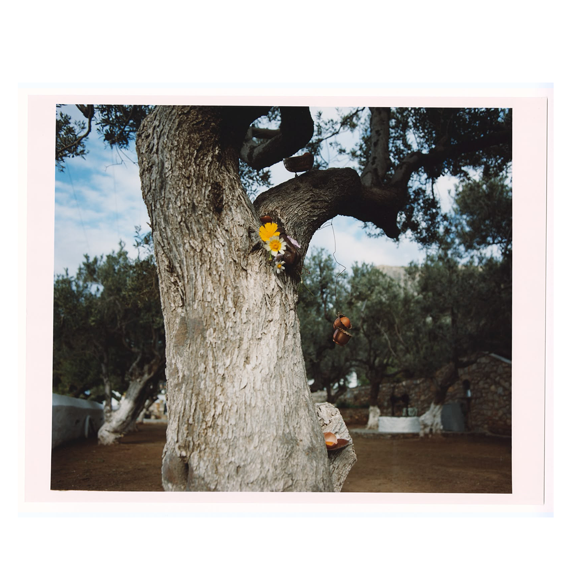 Stefan Dotter | Belonging(s) Preview Prints - Image 5